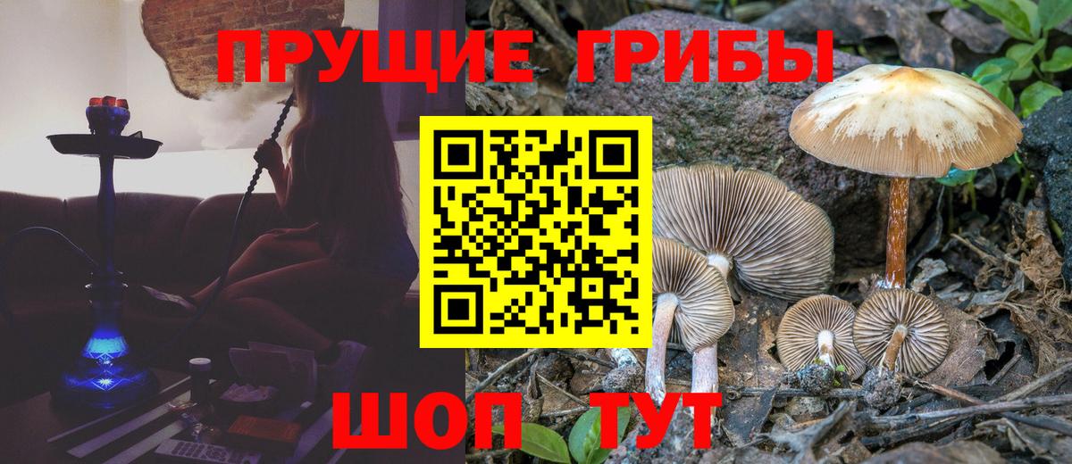 Галлюциногенные грибы Magic Shrooms Заводоуковск