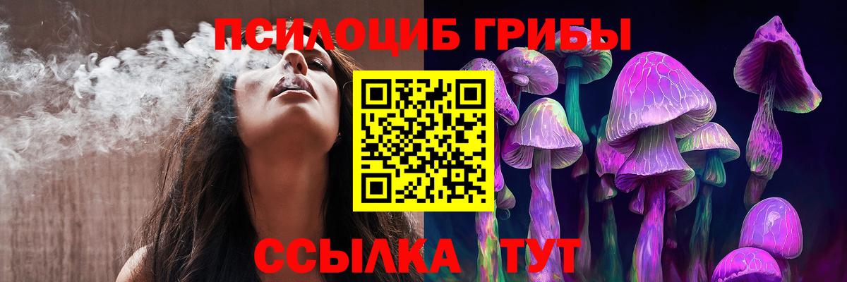 Псилоцибиновые грибы мицелий  где купить наркоту  Вход с VPN  Заводоуковск  Галлюциногенные грибы ЛСД 